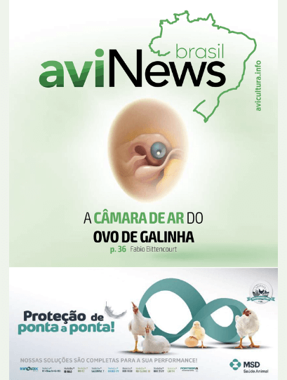aviNews Brasil Dezembro 2021