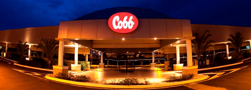 Cobb-Vantress, LLC anuncia inversión de US$ 30 millones para expansión