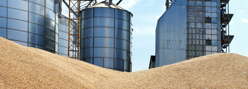corn-wheat-market