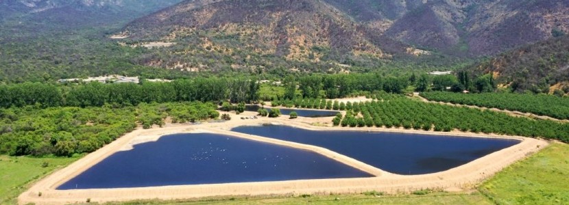 industria avícola y porcina chilena reutiliza y recircula agua