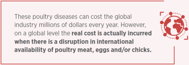 supply-chain-poultry-diseases