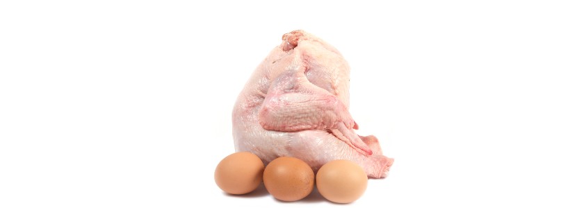Avicultores peruanos: Advierten que exoneración del IGV al pollo y huevo no disminuirá sus precios