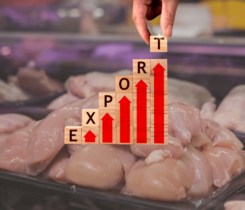 Exportação elevada de carne de frango aumenta preço