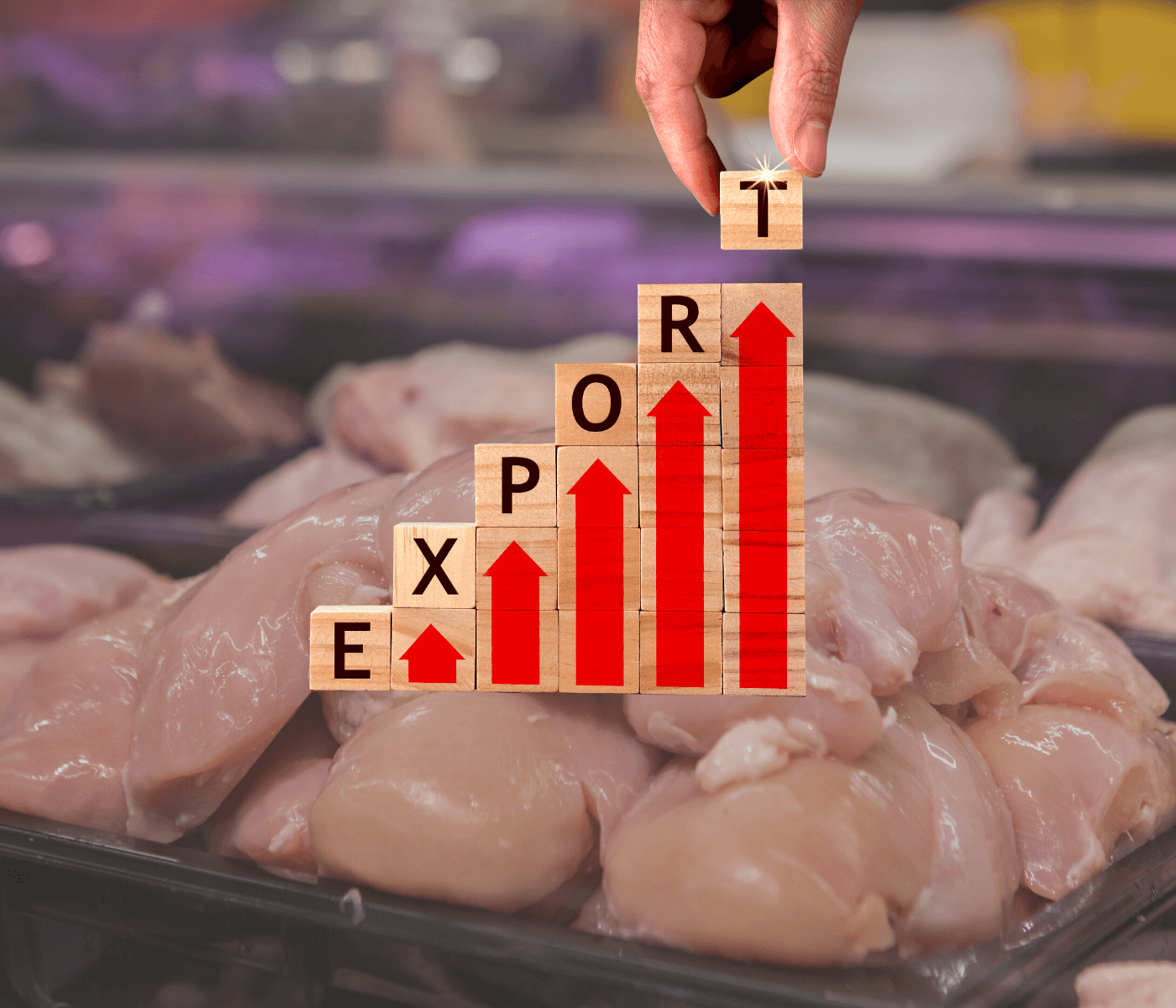 Exportação elevada de frango impulsiona preço da carne no Brasil