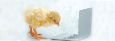 Imagen Revista Los beneficios detrás del Internet de los Animales