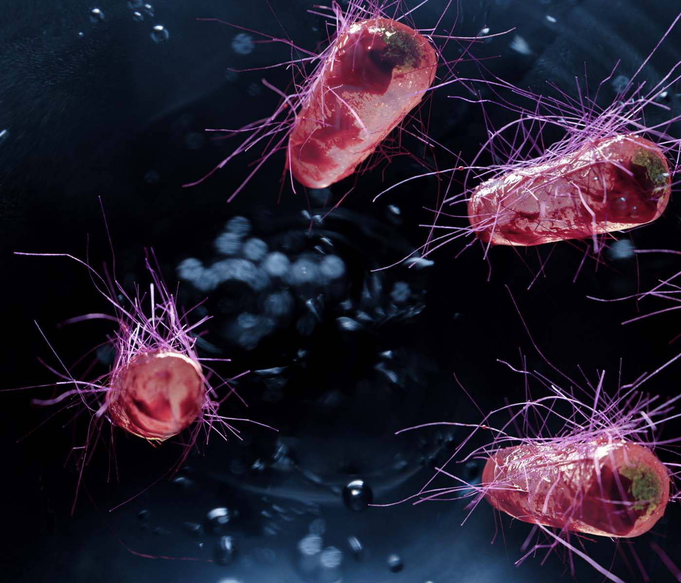 Últimas novedades sobre la vacunación frente a E. coli