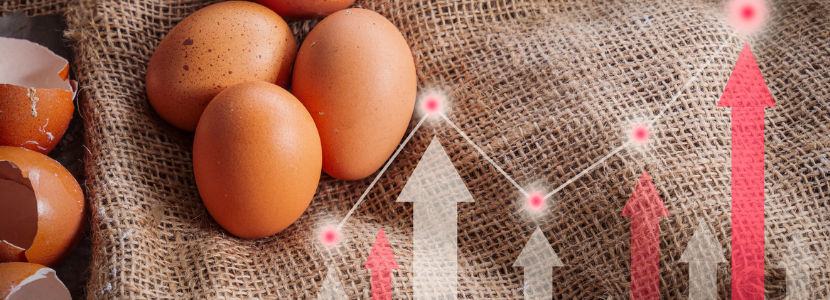 High egg prices in the U.S. due to avian flu spread