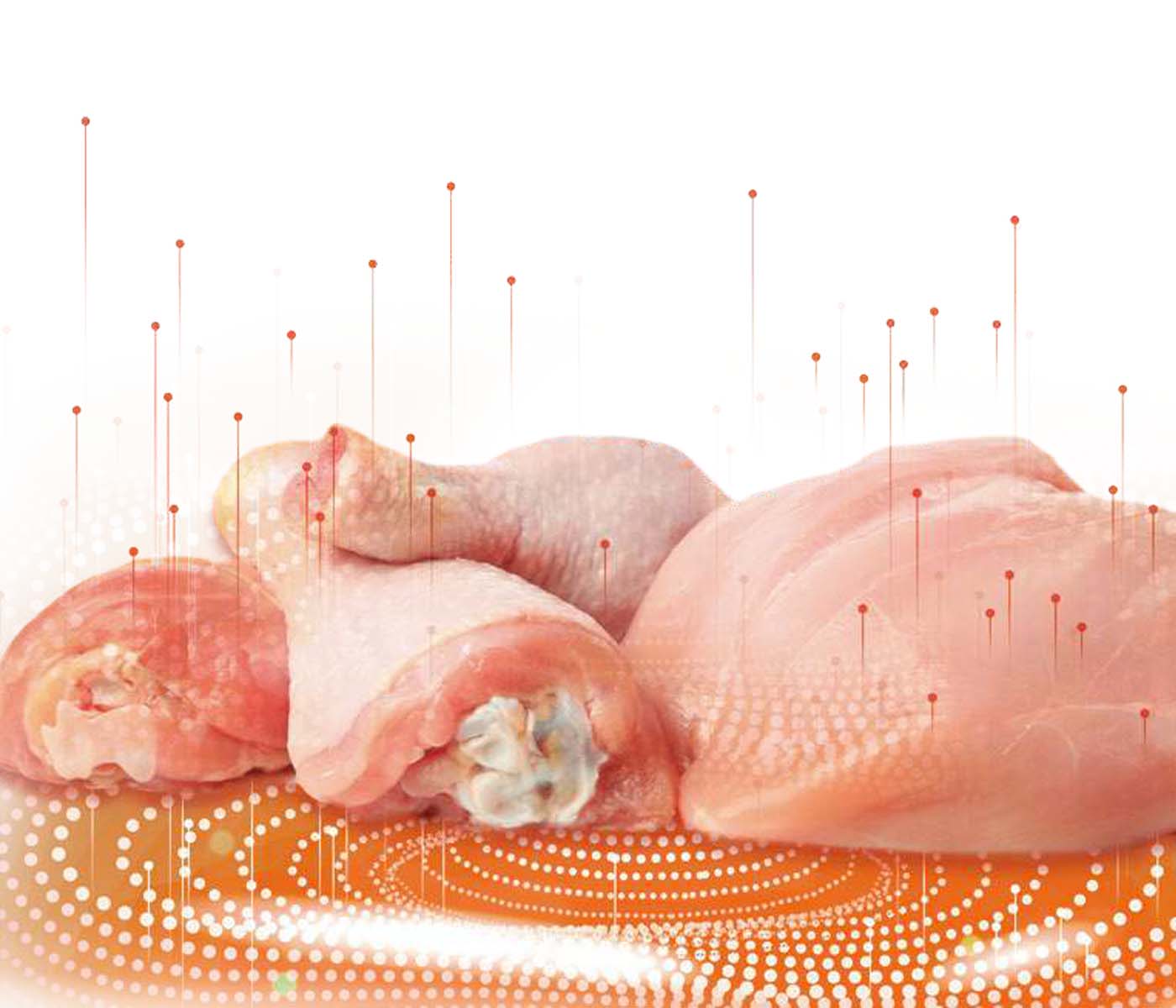 Inteligencia Artificial aplicada para incrementar el consumo de carne de pollo- Algunas Ideas