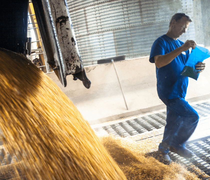 amostra significativa do alimento