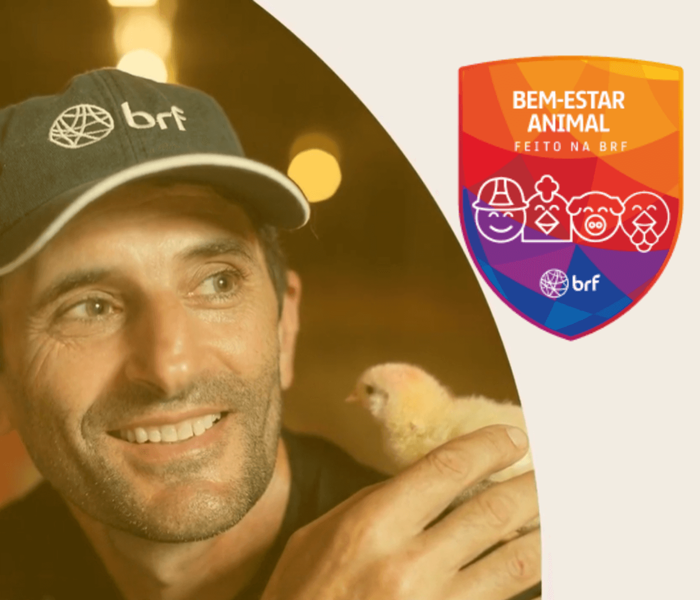 BRF conquista categoria ouro em Índice de bem-estar animal