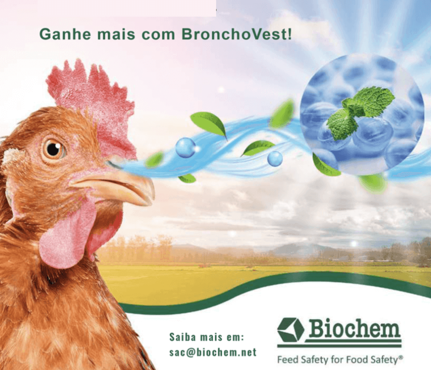 Período de seca: Biochem tem a solução dos problemas respiratórios...