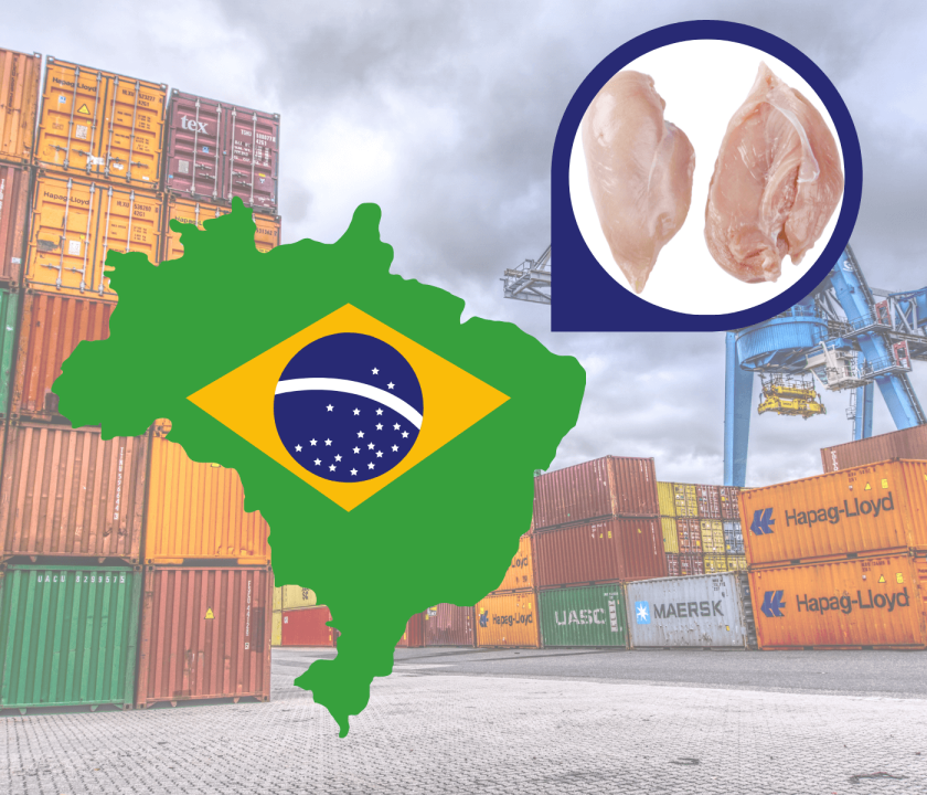 Brasil deverá exportar mais frango