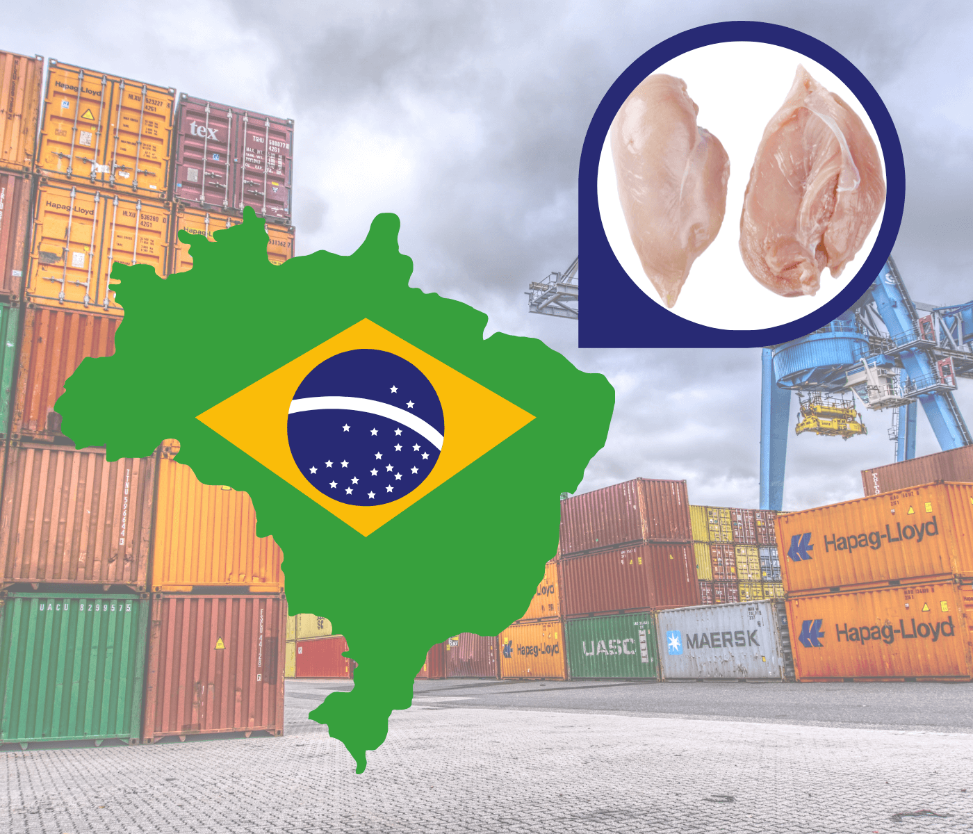 Brasil deverá exportar 9% mais carne de frango em 2022, segundo USDA