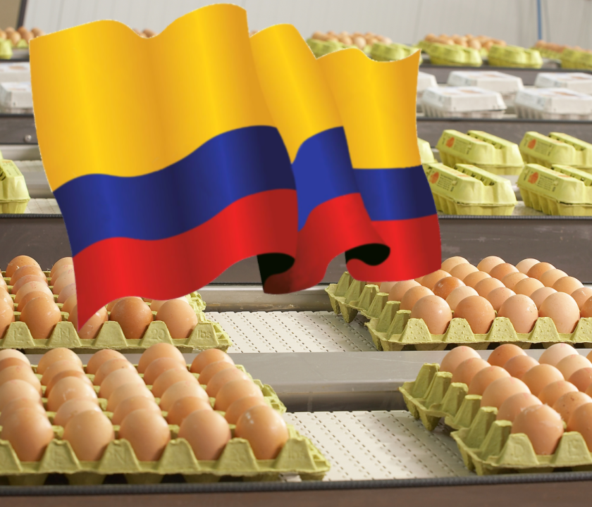 Colombia producción consumo huevo