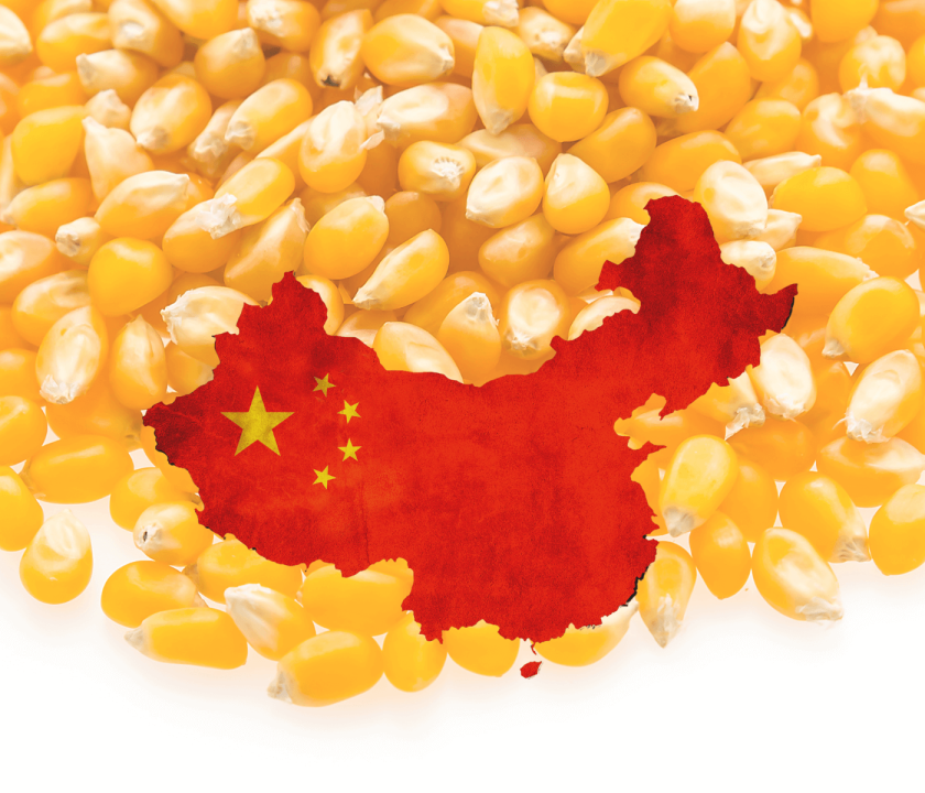 China compra milhares de toneladas de milho do BR