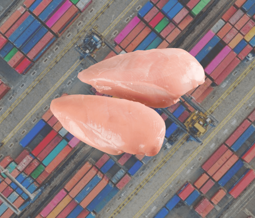 Exportações de carne de frango alcançam 418,2 mil toneladas