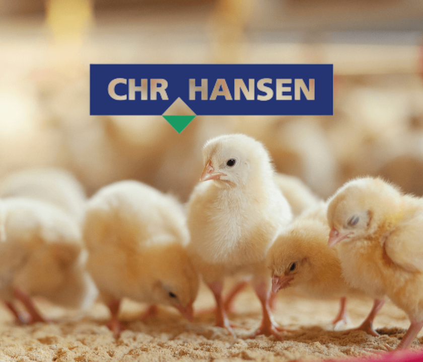 Evento da CHR Hansen discute perdas na avicultura causadas pela colibacilose
