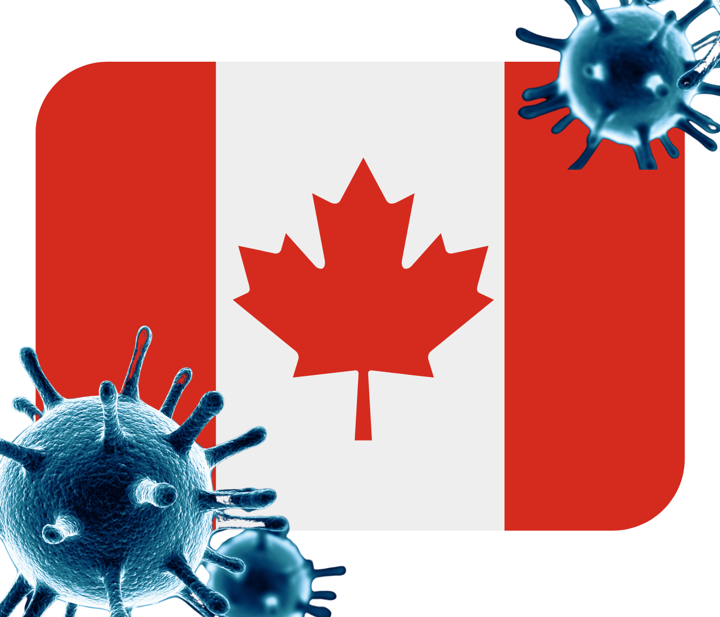 Canadá registra primeiro caso de Influenza Aviária em mamíferos