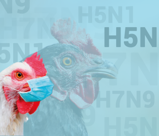 Iamgen Revista Avian Influenza in North America spring 2022