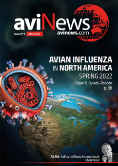 aviNews International June 