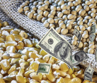 Mayor costo de materias primas en Costa Rica: Podría aumentar precio de productos avícolas