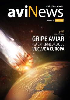 aviNews España Abril 2022 
