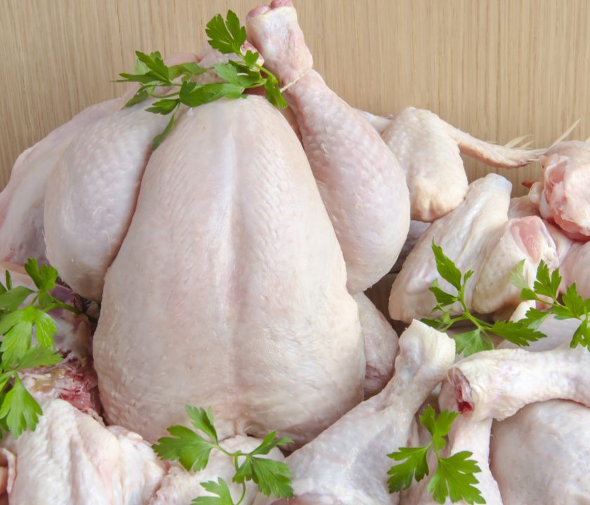Sector avícola dominicano pollo