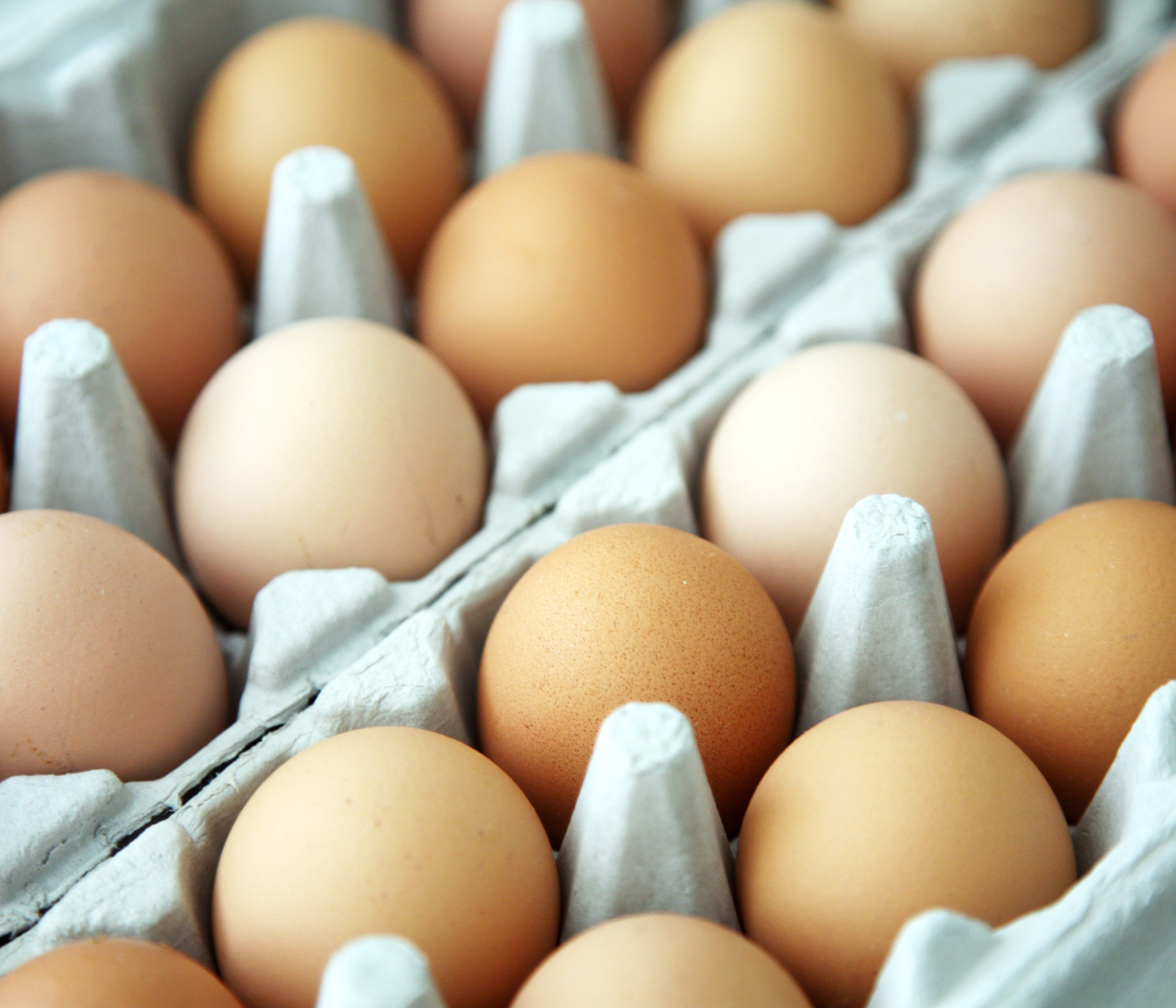Australian Eggs shores up food security with new technology