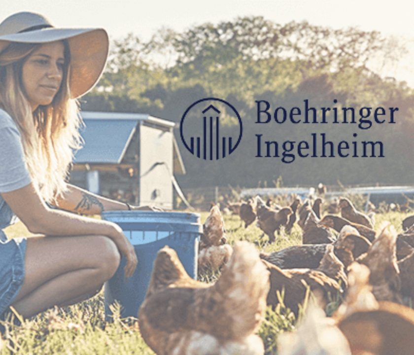 Divisão de Saúde Animal da Boehringer Ingelheim registra crescimento global