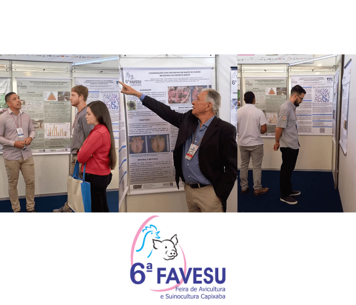 Espaço Científico da 6ª FAVESU promove a apresentação de estudos voltados para a avicultura e suinocultura