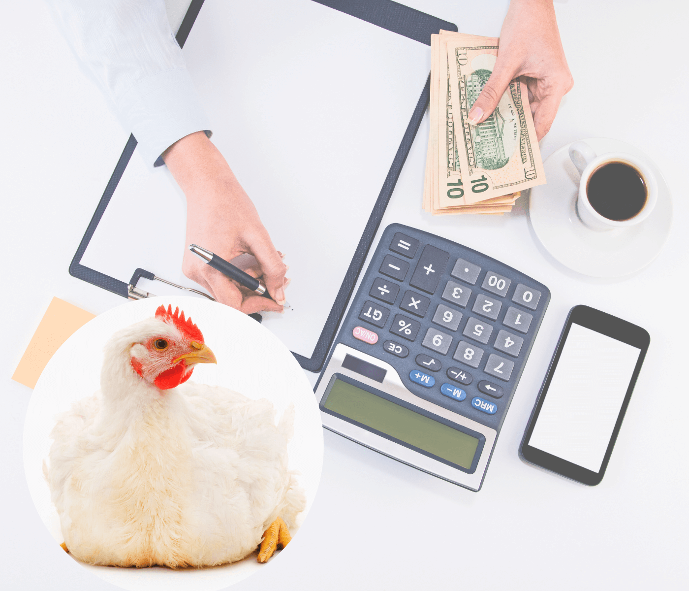 Produzir frango ficou mais caro