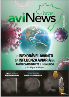 aviNews Brasil 2T 2022 