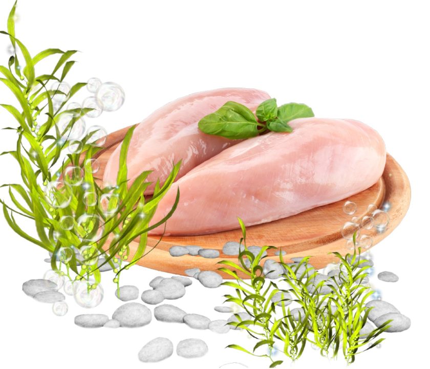 carne de ave marinada omega 3