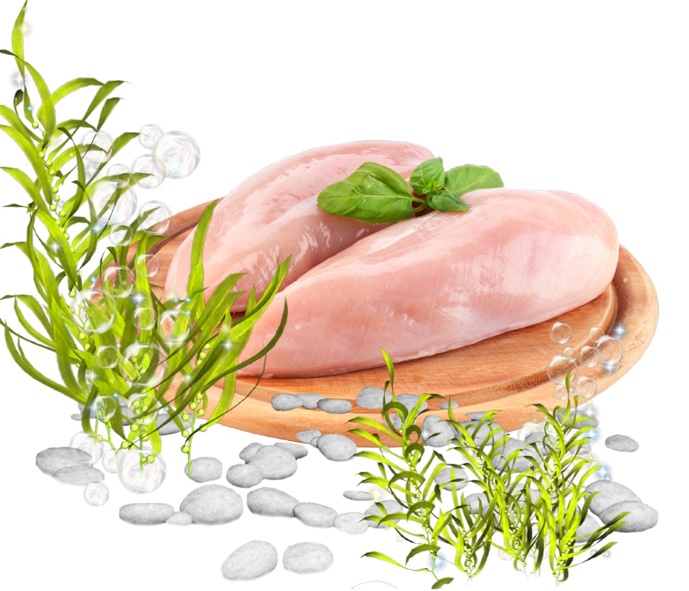 Resultados de investigación de marinado de carne de ave con aceites Omega 3 de algas marinas