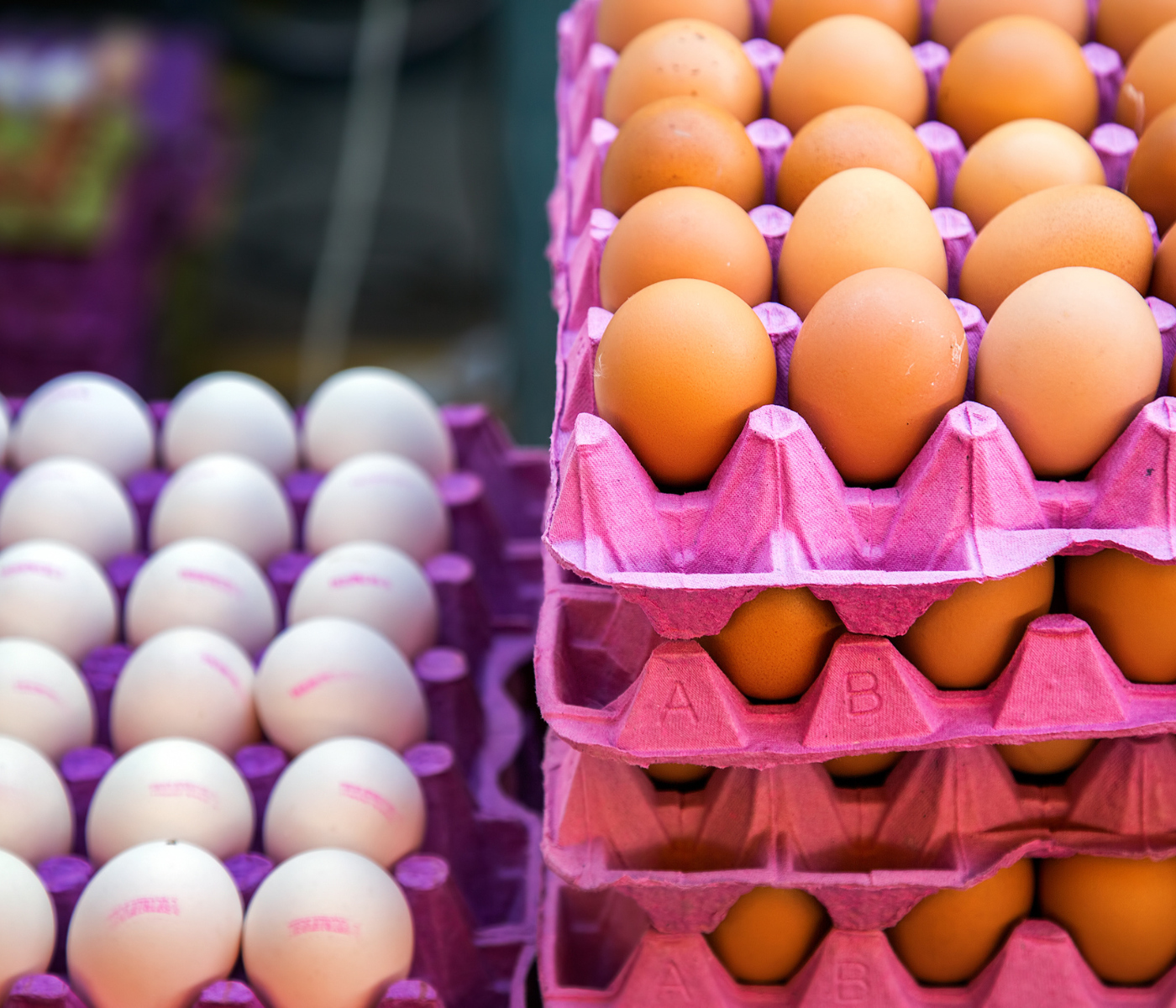 Egg prices on the rise: the effects of animal diseases