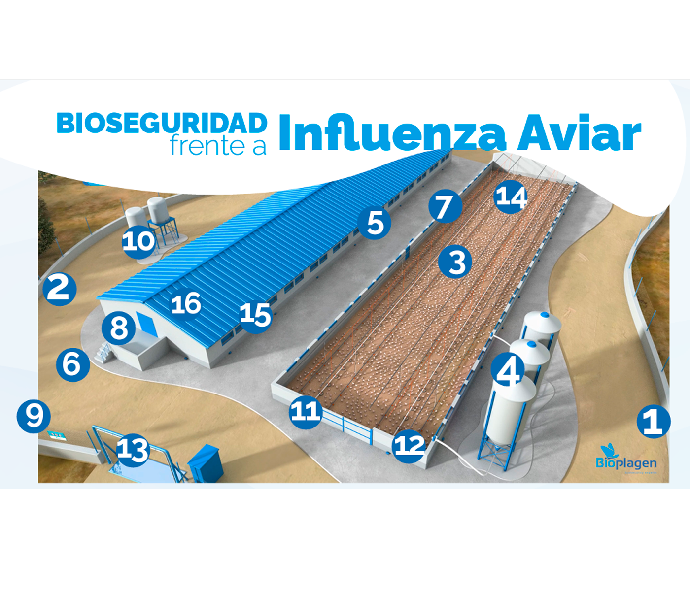 Bioseguridad  frente a Influenza Aviar