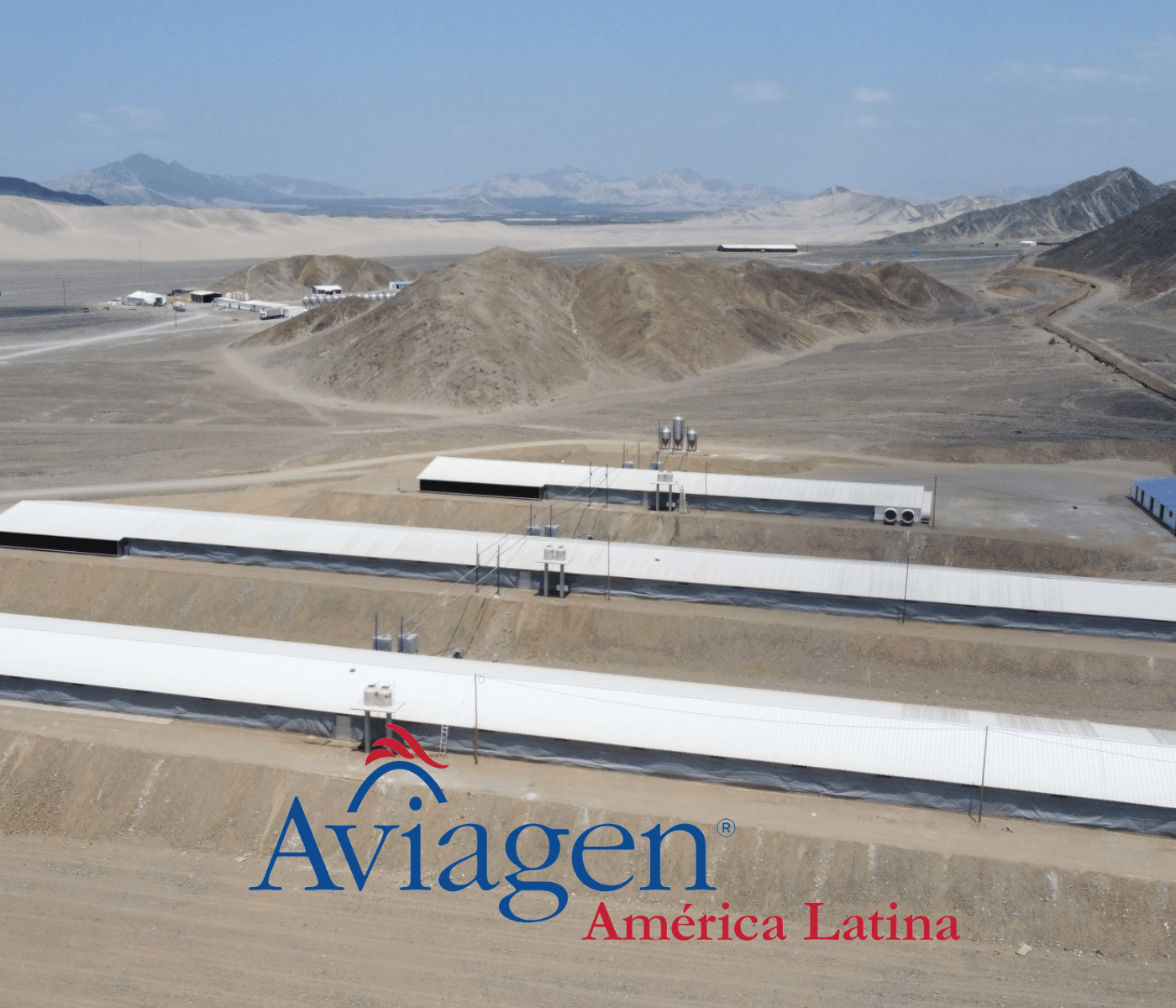 Aviagen Peru celebra 3 anos de crescimento e sucesso