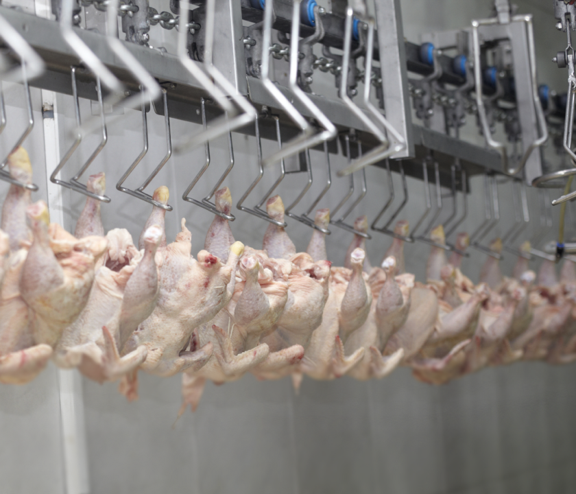 Brasil exportaciones de pollo