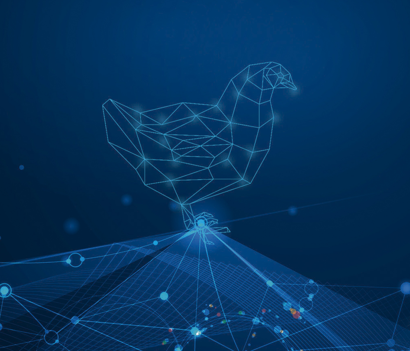 Você está pronto para a Transformação Digital na avicultura?