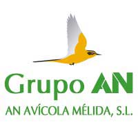 Image autor Director Producción animal Grupo An Avícola Melida S.A.