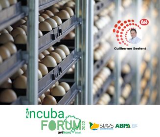 Pontos-chave no Armazenamento e Transporte dos Ovos Incubáveis da Granja ao Incubatório