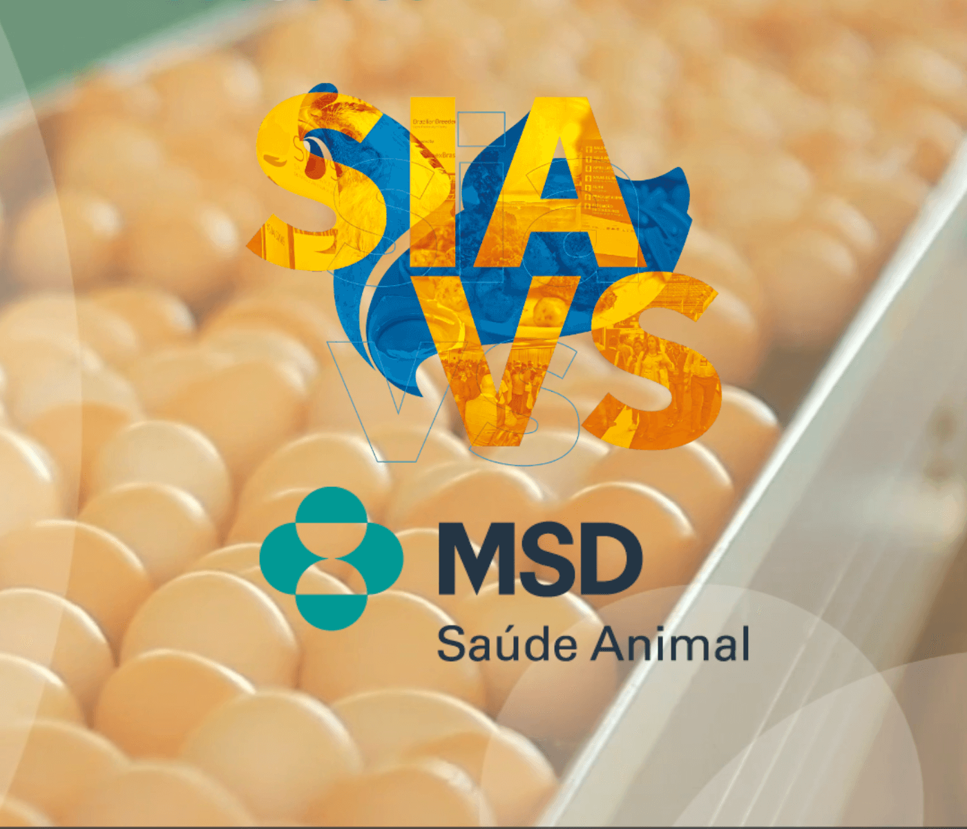 Soluções sustentáveis e estande com itens recicláveis são apresentados pela MSD Saúde Animal no SIAVS