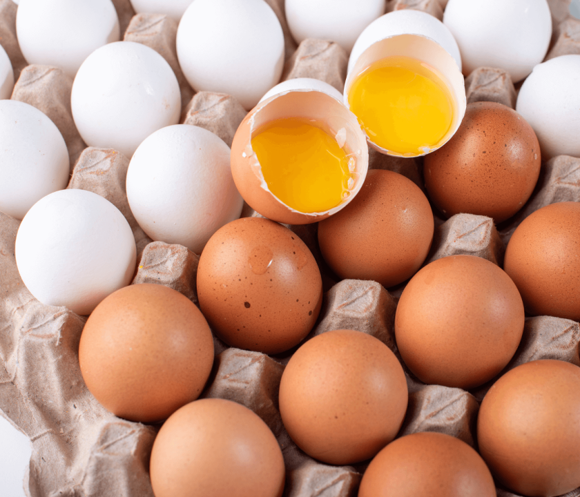 Preços dos ovos seguem estáveis há um mês