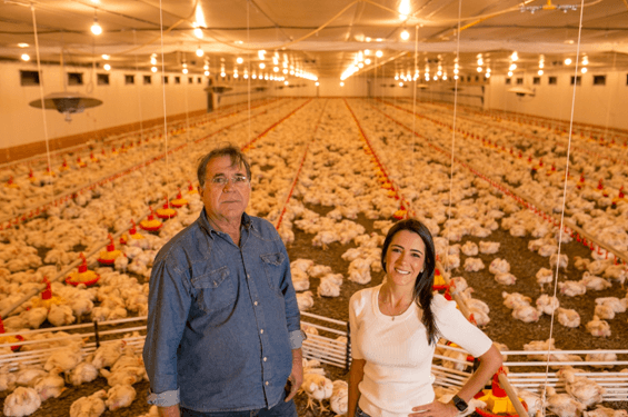 sustentabilidade nas propriedades avícolas
