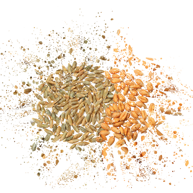 Cómo mitigar el aumento de la viscosidad y la oxidación asociados con los cereales recién cosechados