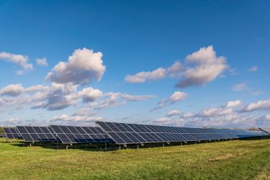 Imagen Revista Paneles fotovoltaicos en granjas avícolas