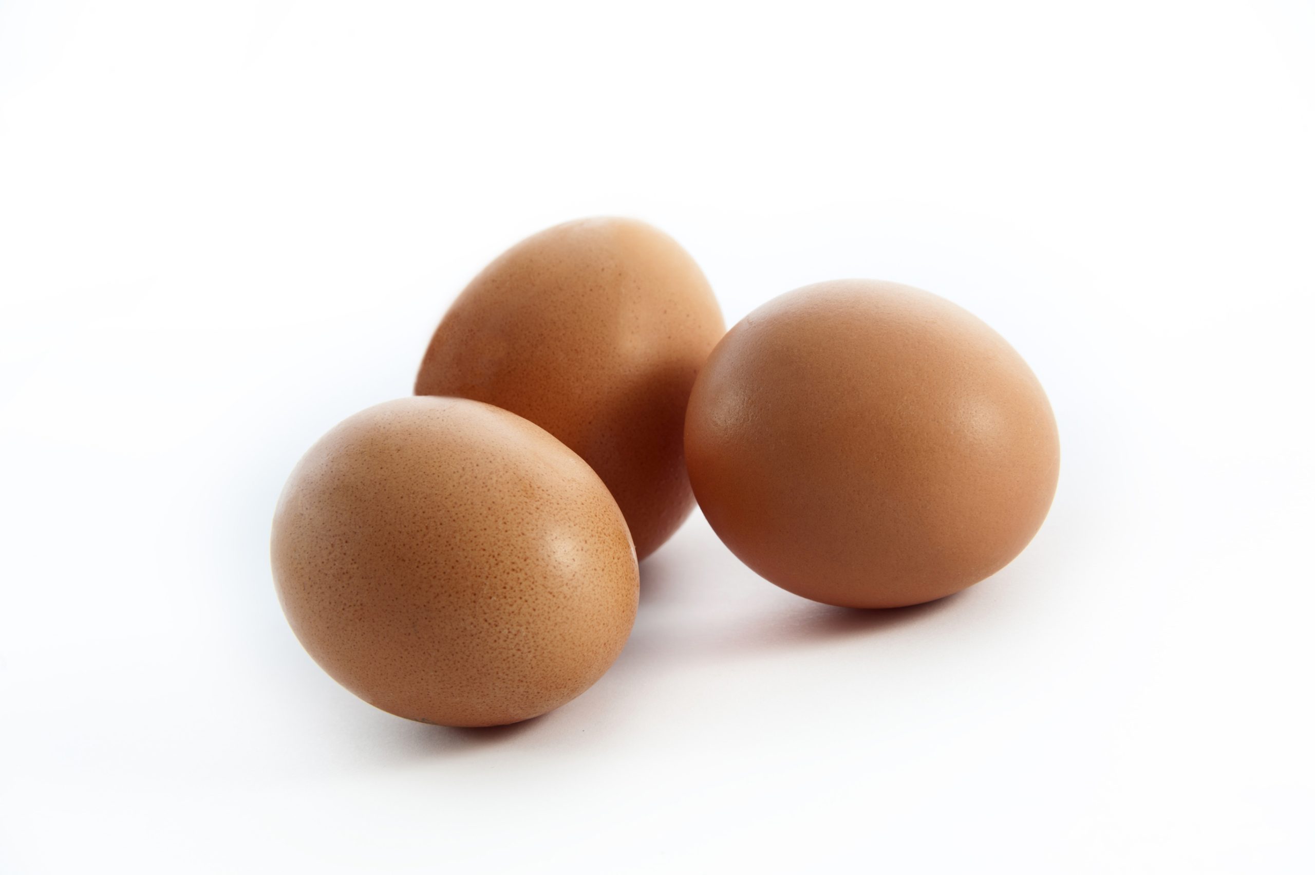 Los anticuerpos de huevos de gallina, una posibilidad contra la...
