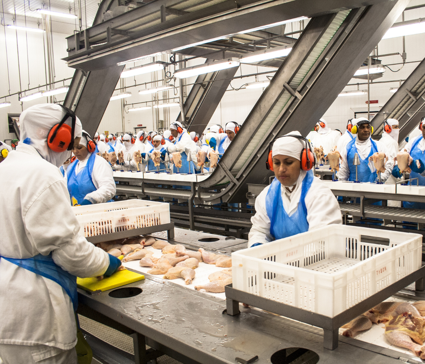 U.S. settles claims against poultry processors over worker treatment
