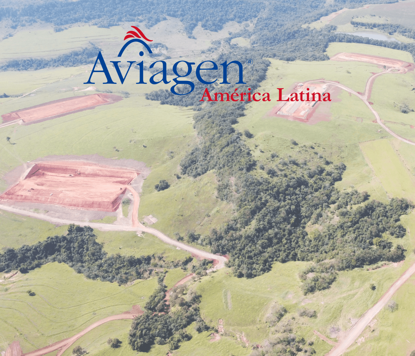 Nova granja de bisavós da Aviagen no Brasil segue em ritmo acelerado