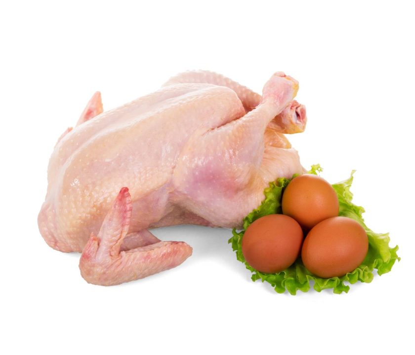 Bolivia Productores avícolas producción de pollo huevo